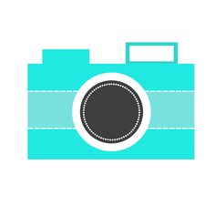 236x236 Camera Clipart Color