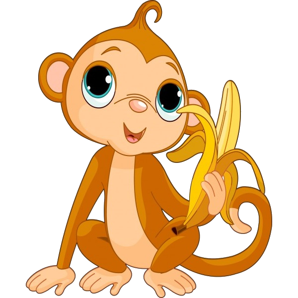 600x600 Monkey Images