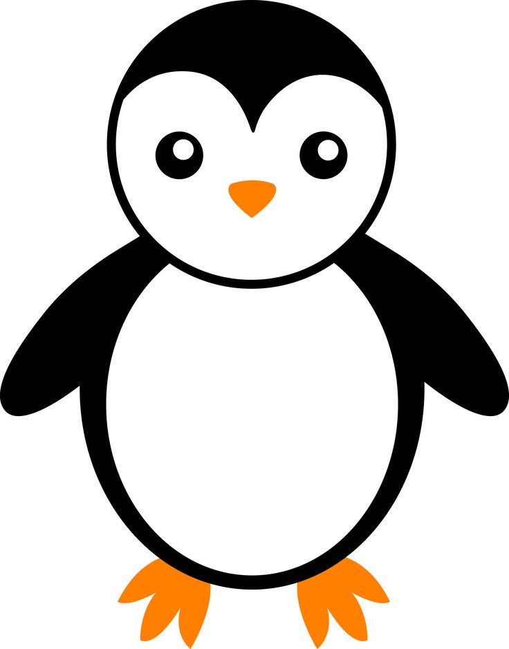 Cute Cartoon Penguin Pictures