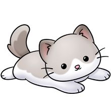 220x220 ) Cute Animals