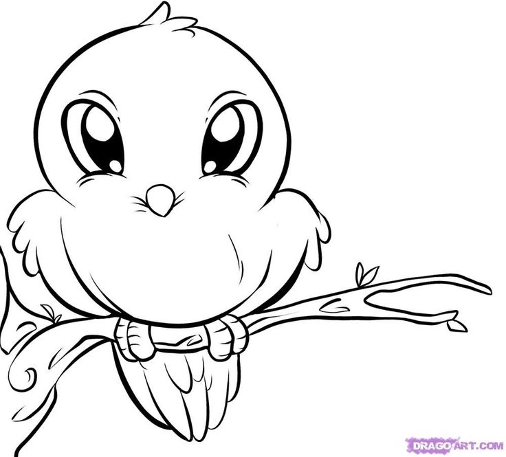 736x665 Cute Coloring Pages Of Animals Many Interesting Cliparts