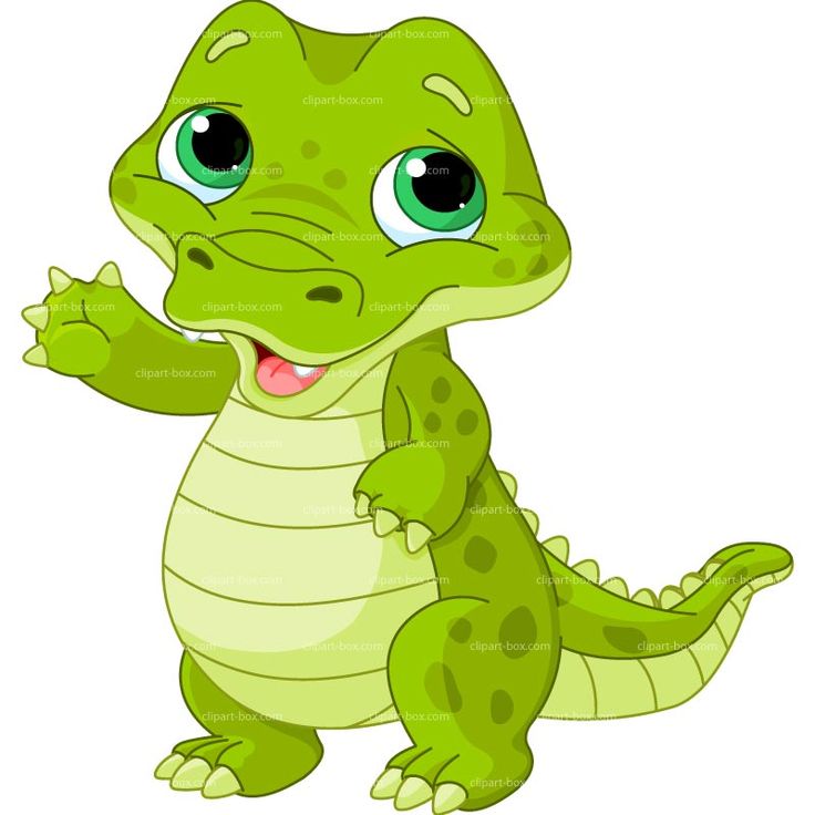 736x736 Crocodile Clipart Chibi