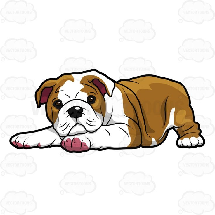 Cute Dog Clipart