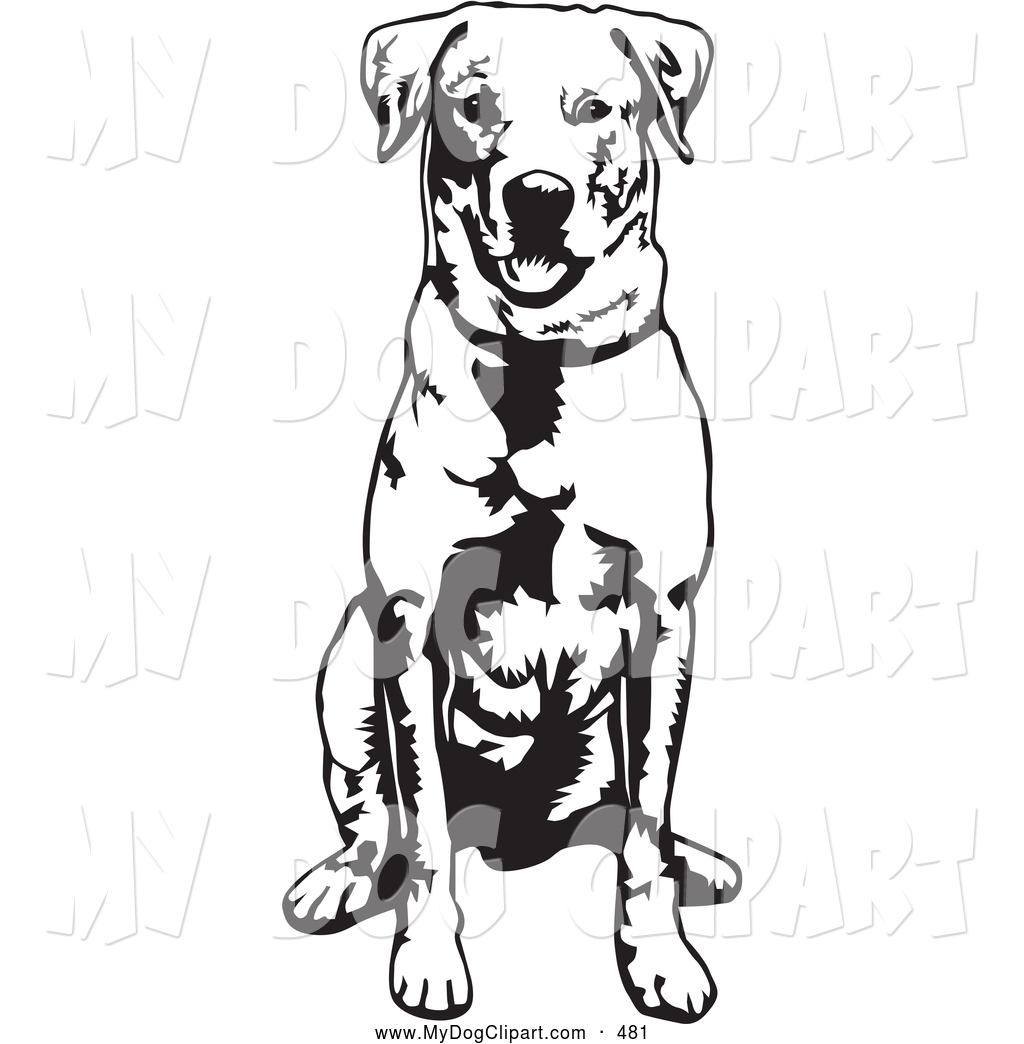 1024x1044 Royalty Free Labrador Stock Dog Designs