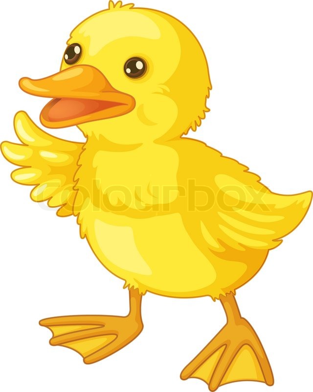 640x800 Cute Cartoon Duck Stock Vector Colourbox