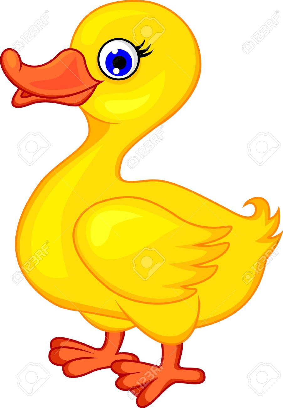 903x1300 Funny Duck Cartoon Royalty Free Cliparts, Vectors, And Stock