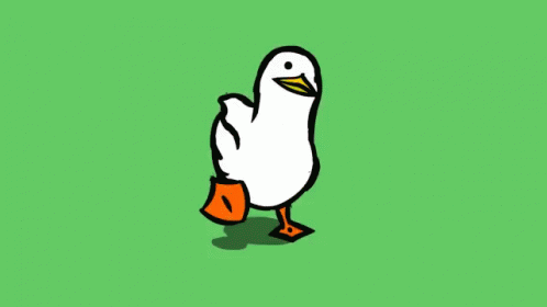 498x280 Cute Duck Gifs Search Find, Make Amp Share Gfycat Gifs