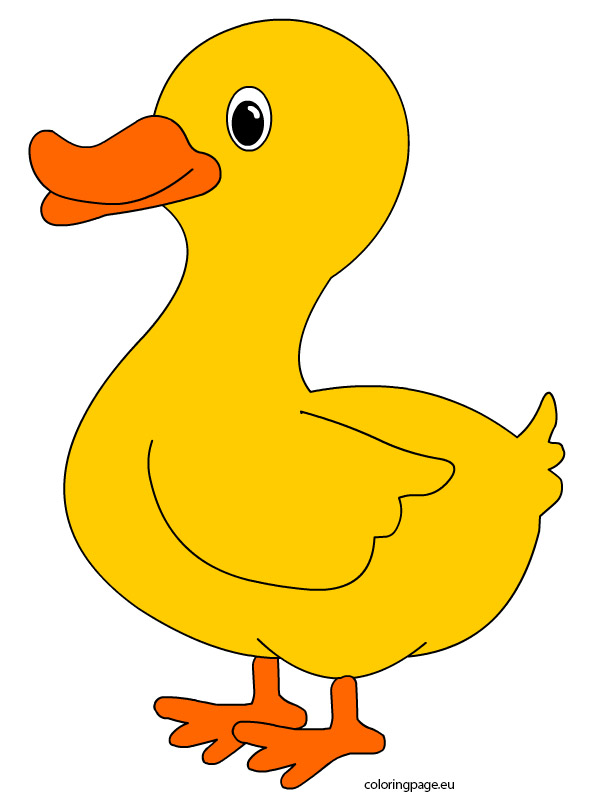 595x808 Cute Duck Coloring Page