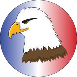 300x300 Realistic Bald Eagle Clipart Clipartfest Cute