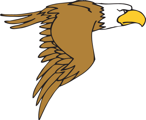 600x494 Bald Eagle Clipart