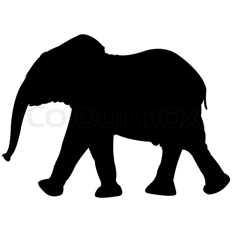 800x800 Baby Elephant Silhouette Isolated On White Background, Abstract