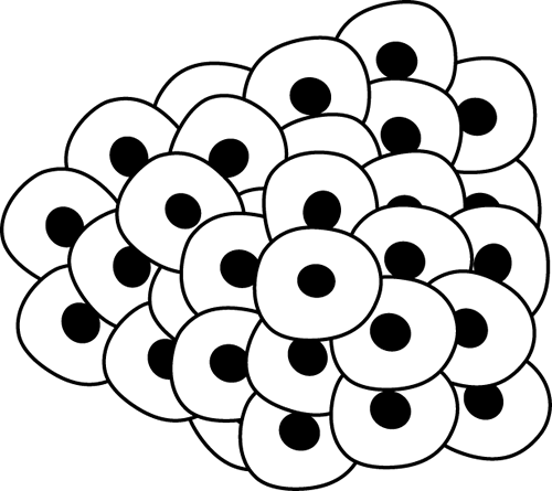 500x445 Frog Black And White Cute Frog Clipart Black And White Free 6