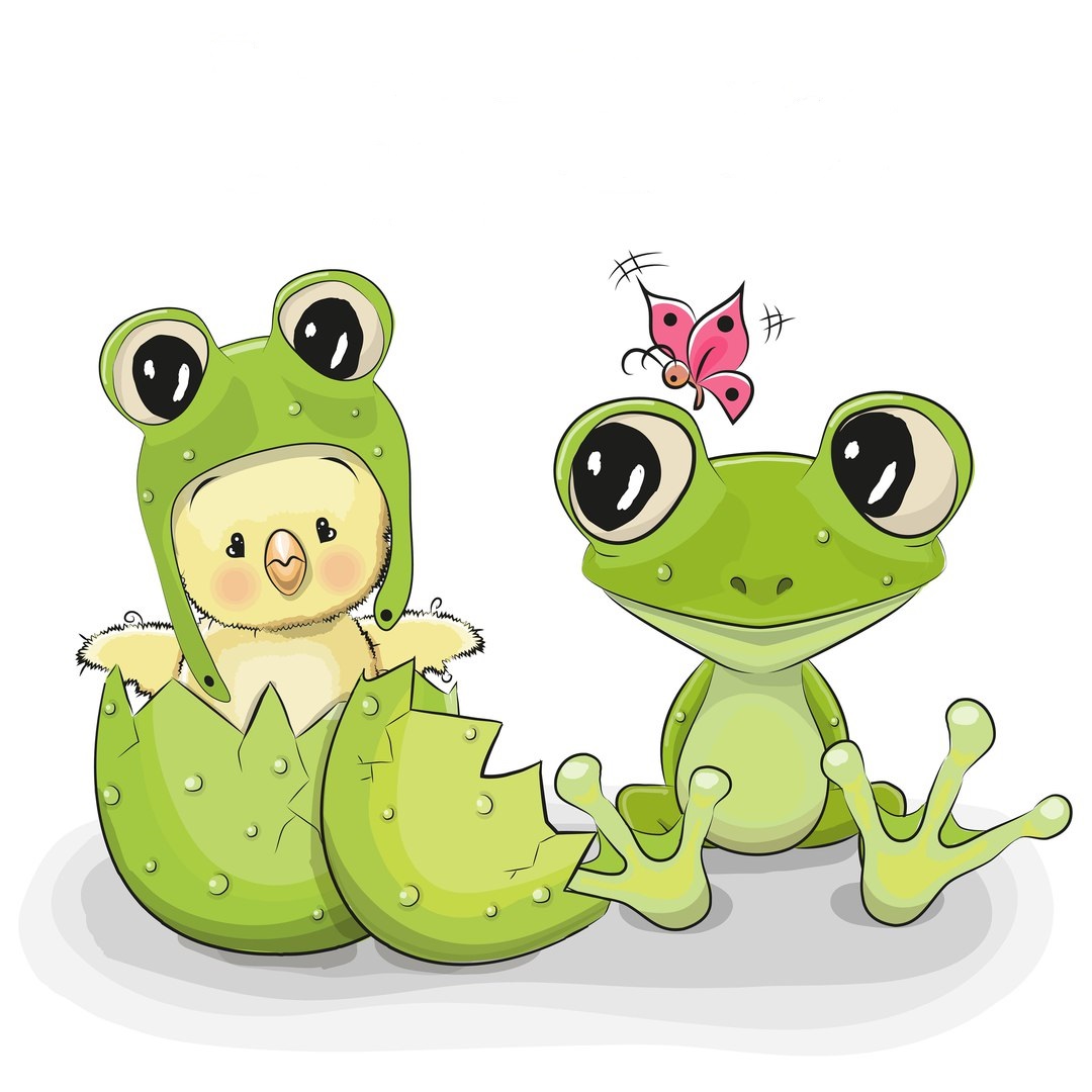 1080x1080 Cartoon Pollo Y Sapo Dibujos De Pollos Cartoon