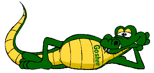500x238 Gators Clipart