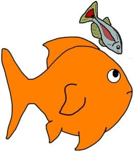 262x300 Goldfish Clipart Many Fish