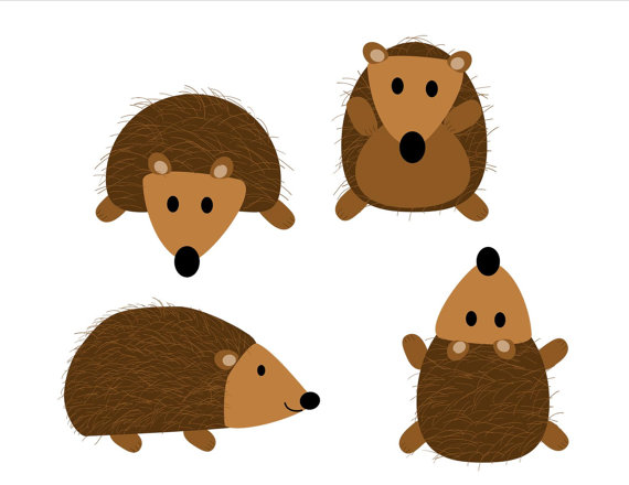 570x440 Best Hedgehog Clipart