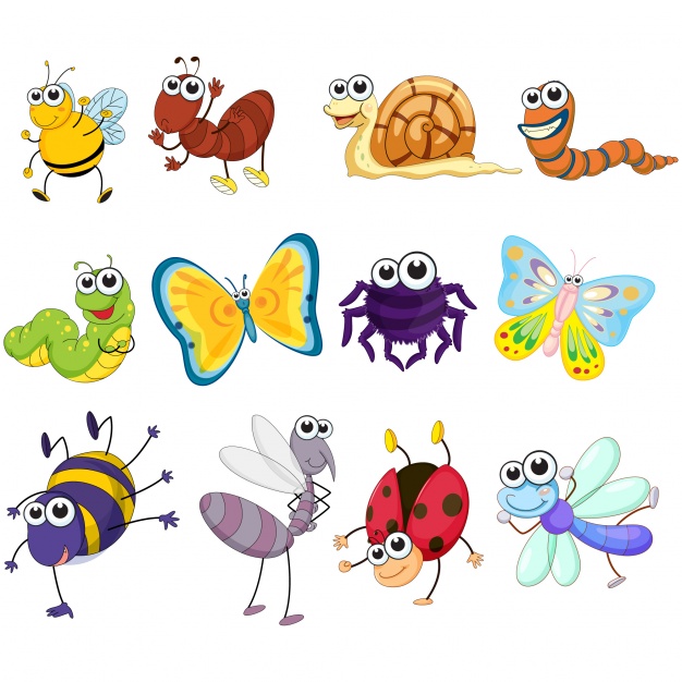 626x626 Insect Vectors, Photos And Psd Files Free Download
