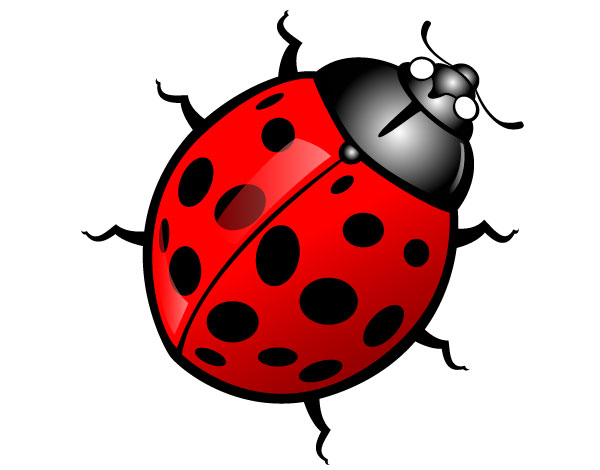 600x470 Insect Clipart
