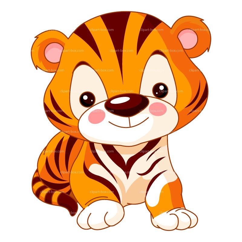 800x800 Tiger Clipart