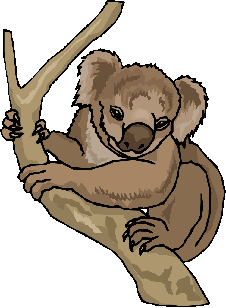750x1021 Top 90 Koala Clip Art