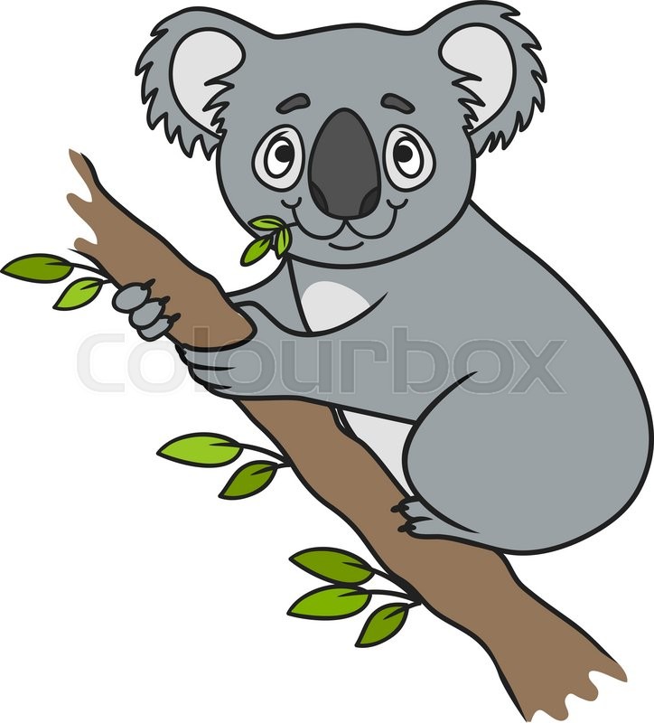 724x800 Cartoon Koala. Vector Clip Art. Farm Animals. Animal