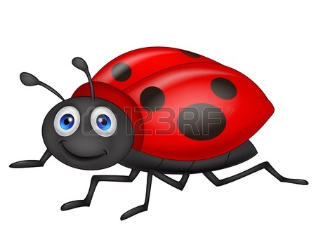 450x345 Ladybug Images Amp Stock Pictures. Royalty Free Ladybug Photos