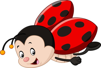 355x240 Search Photos Ladybug
