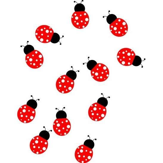 547x547 Cute Ladybug Pictures