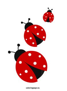 236x318 Cute Ladybugs Pictures Of Ladybug Confetti Our Cute Ladybug