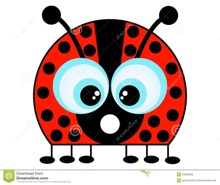 736x619 242 Best Lady Bugs Images Congratulations Card