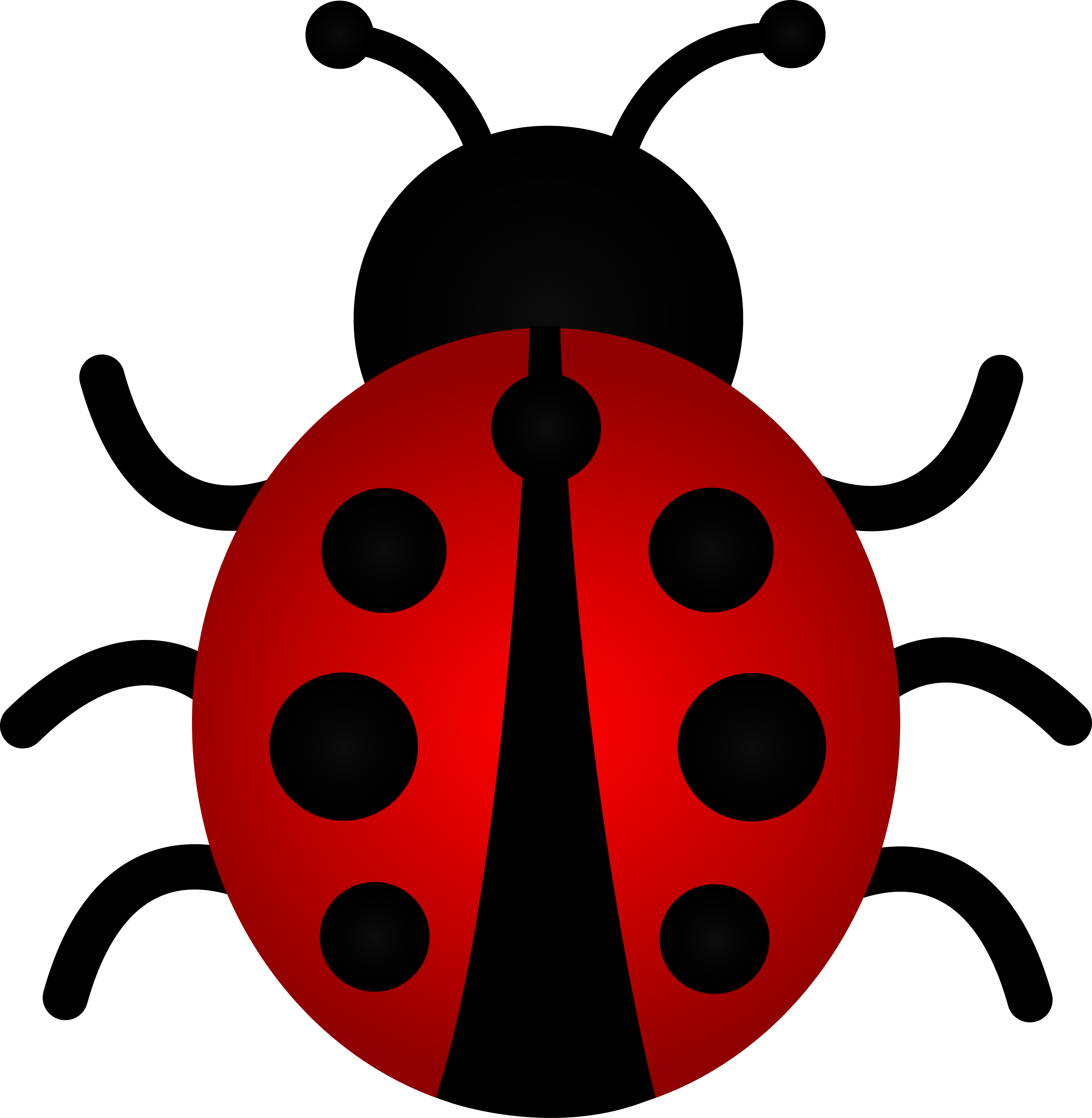 6023x6167 Drawn Ladybug Cartoon
