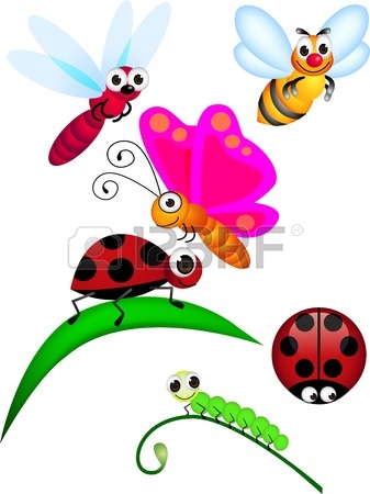 337x450 Ladybug Images Amp Stock Pictures. Royalty Free Ladybug Photos