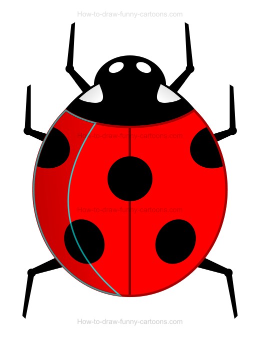 520x675 To Draw A Cartoon Ladybug