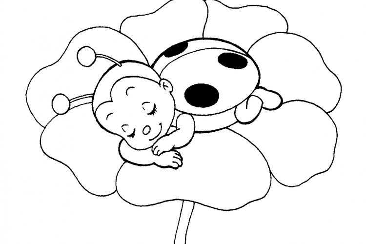 750x500 Best Cute Ladybug Coloring Pages 47 About Remodel Coloring Pages