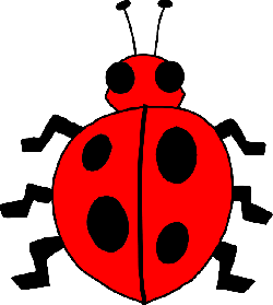250x279 Free Pictures Ladybug