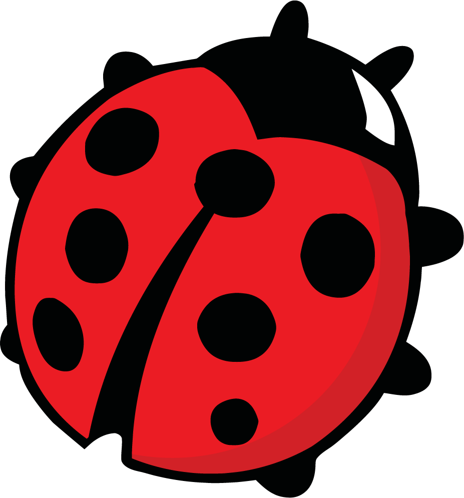 927x995 Coloring Pages Cute How To Draw Lady Bug A Ladybug Vew Coloring