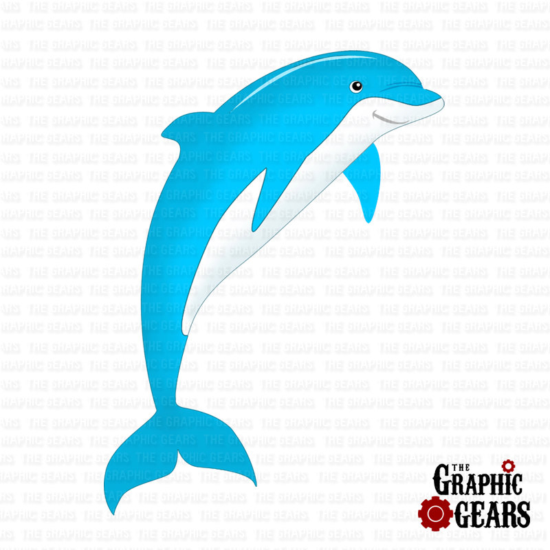 800x800 Baby Dolphin Clipart