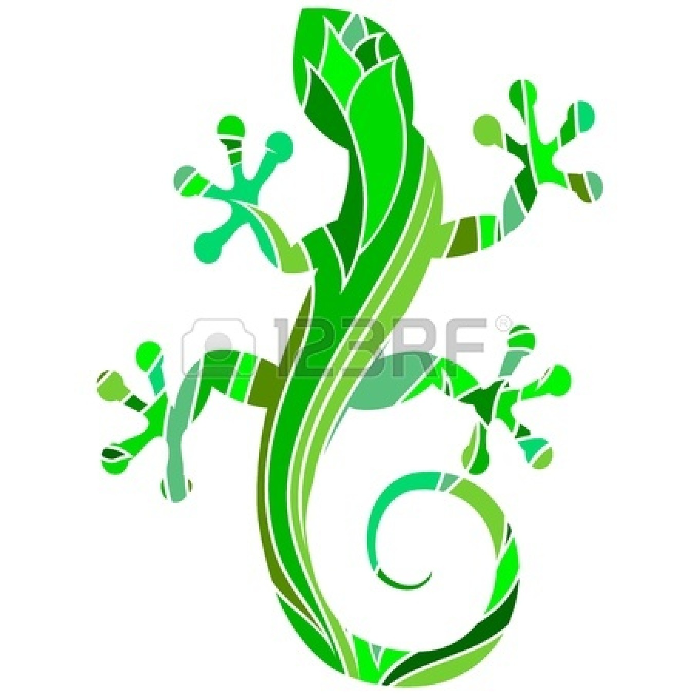 1350x1350 Lizard Clipart