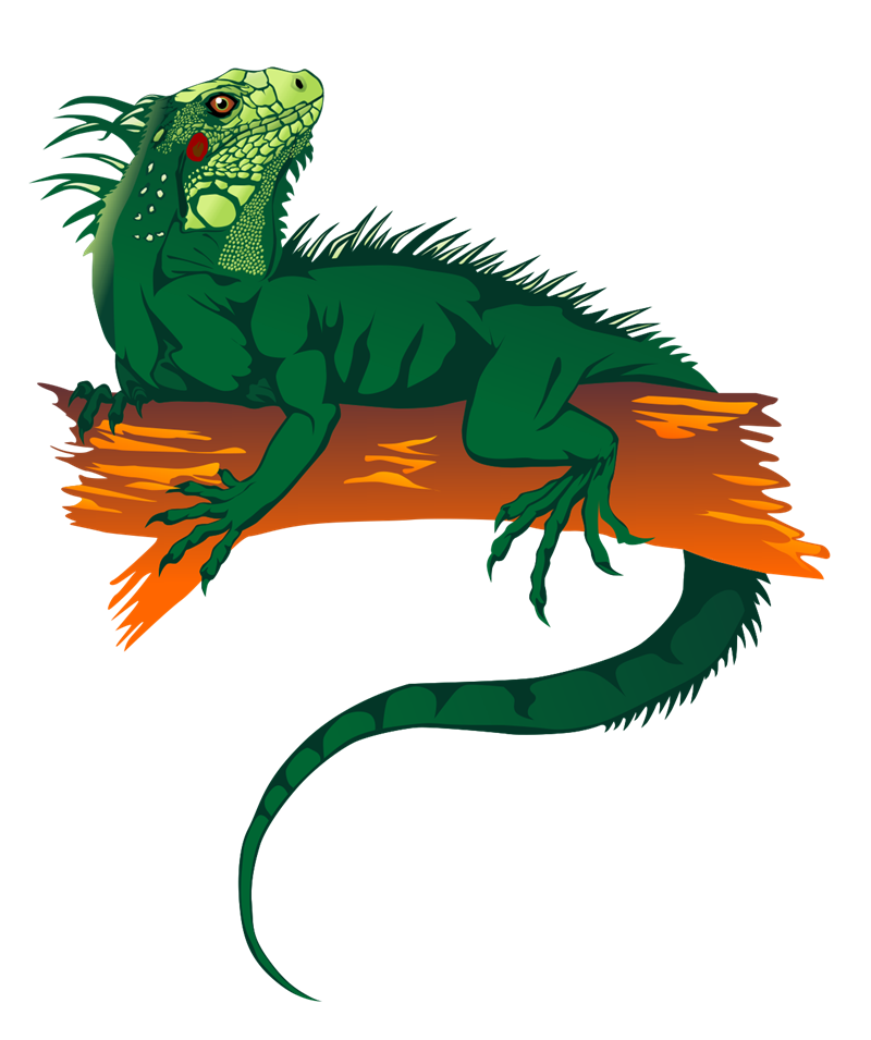 800x955 Lizard Free To Use Clip Art 2