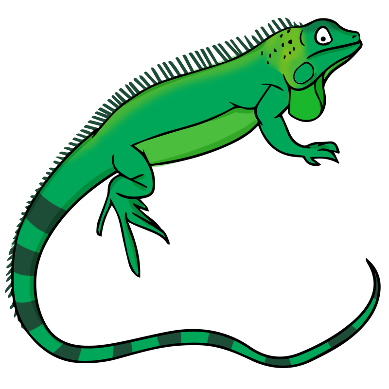 800x800 Lizard Free To Use Clip Art 3