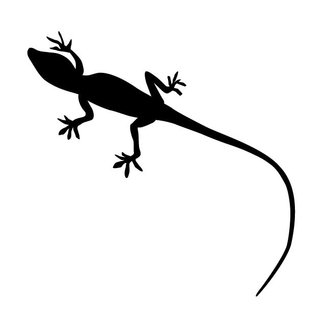 640x640 Lizard Animal Silhouette Free Illustrations