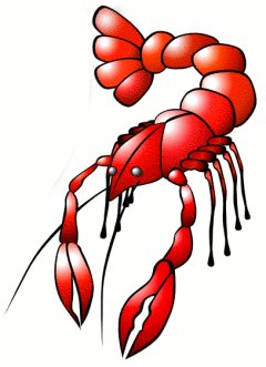 240x331 Free Red Lobster Clipart Free Clipart Graphics Images And Image