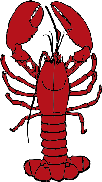 337x600 Free To Use Amp Public Domain Lobster Clip Art