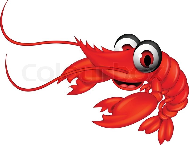 800x615 Funny Red Shrimp Cartoon Stock Vector Colourbox