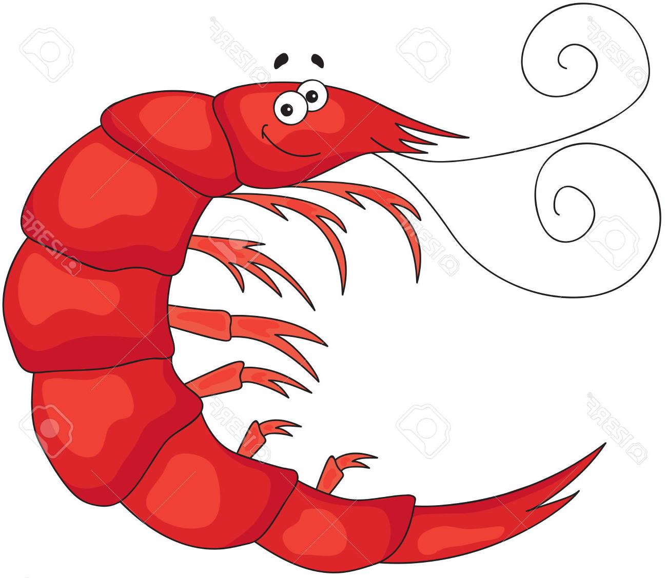 1300x1127 Top 10 Funny Cute Cartoon Shrimp Vector Illustration Stock Design