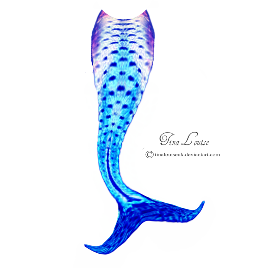 Cute Mermaid Tail Drawing | Free download on ClipArtMag