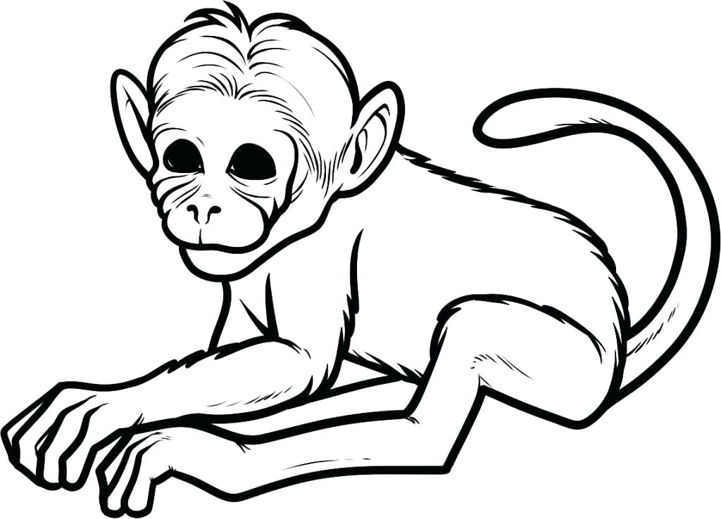 1024x738 Cartoon Monkey Coloring Pages Cute Monkey Coloring Sheets Cartoon