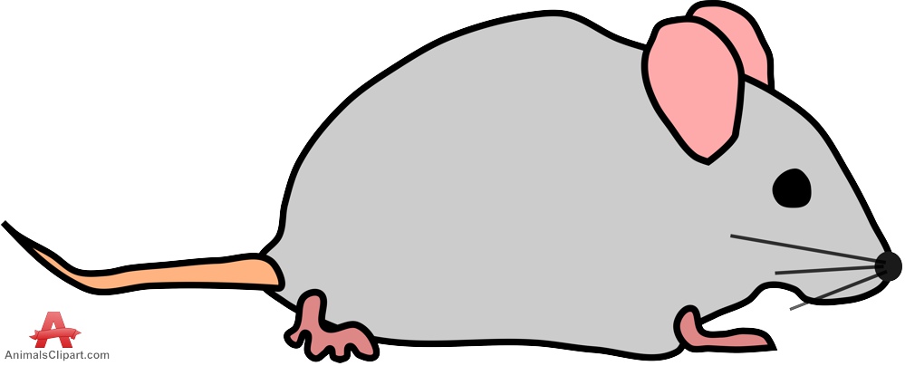 999x404 Mice Clipart Mouse Animal