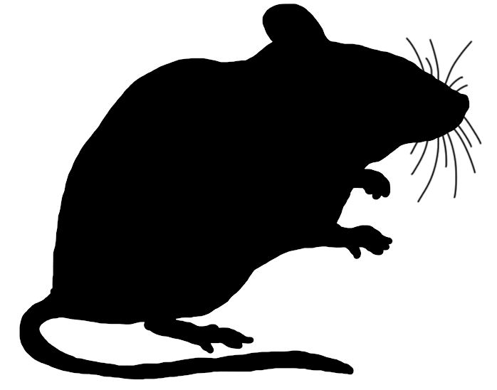 698x548 Mouse Clipart