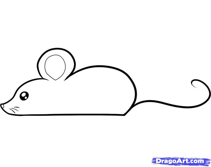 Cute Mouse Drawing